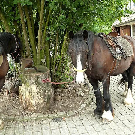 Horse Ranch Lunzen - Dlh01015-syb *