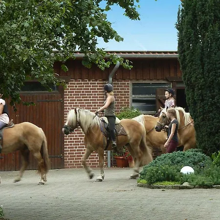 Horse Ranch Lunzen - Dlh01015-syb Lejlighed Schneverdingen