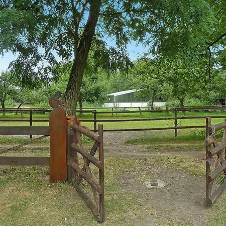 Horse Ranch Lunzen - Dlh01015-syb Lejlighed *
